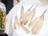 megochi080915a.jpg
