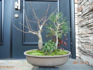 shouchikubai_111217a.jpg