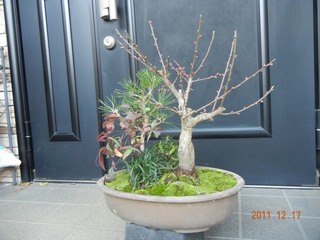 shouchikubai_111217c.jpg